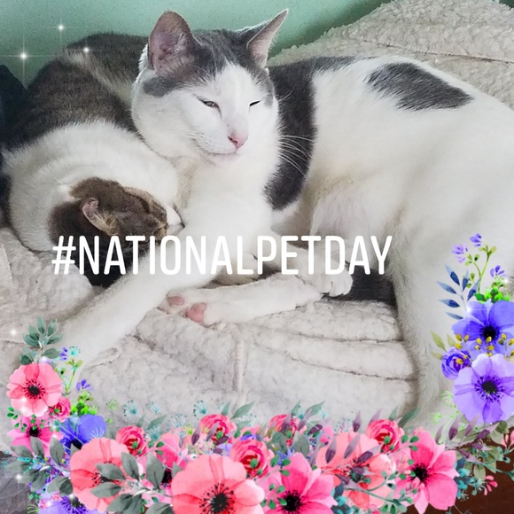 Hi, I'm Heidi! 🦋🌻🌷 - Picture 2 of 8